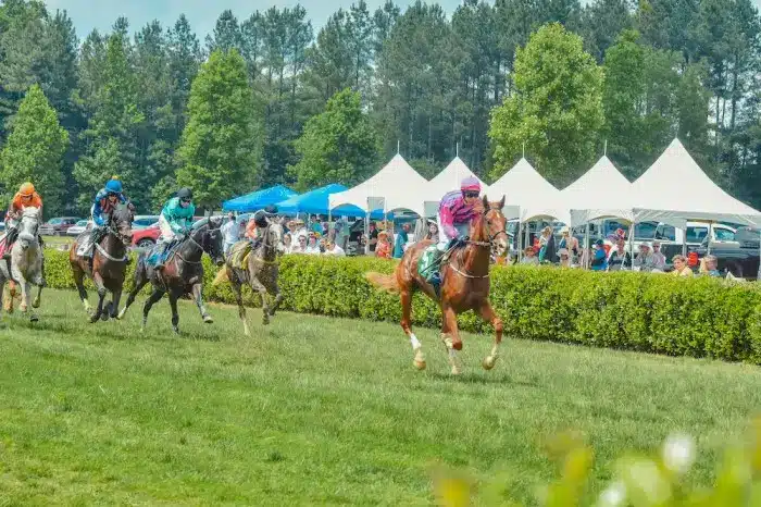 Horse racing at Tryon Block House Steeplechase in Charlotte NC with spectators and tents, private car service for events in Charlotte
