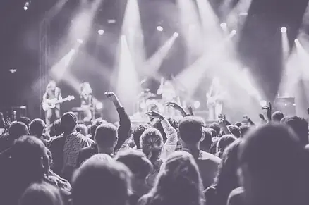 Limo service in Charlotte NC – concert crowd enjoying live music